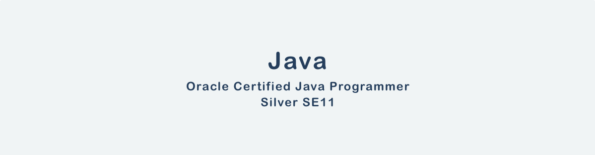 Oracle Certified Java Programmer, Silver SE11